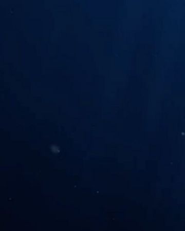 Unterwasser Optik mit Lichteinfall